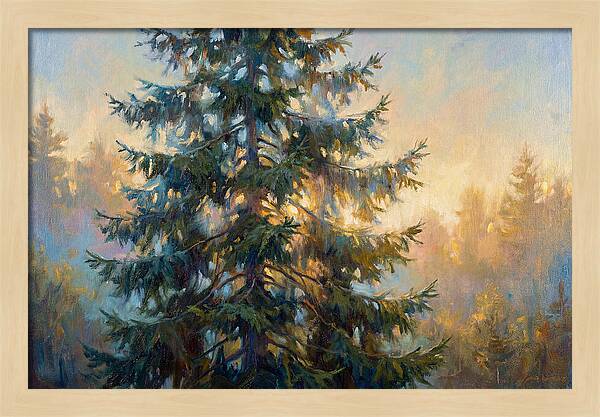 Spruce Tree At Dusk