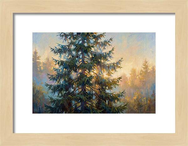 Spruce Tree At Dusk