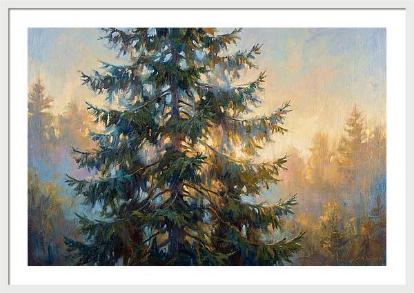 Spruce Tree At Dusk