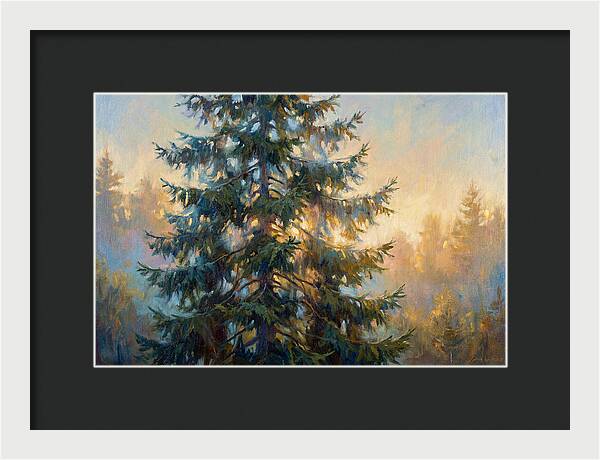 Spruce Tree At Dusk