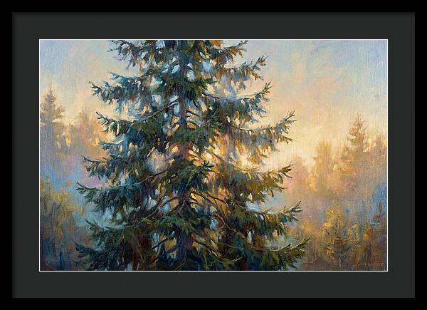 Spruce Tree At Dusk