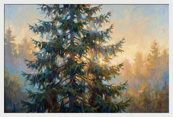 Spruce Tree At Dusk