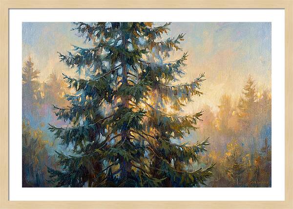 Spruce Tree At Dusk