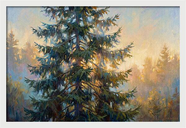 Spruce Tree At Dusk
