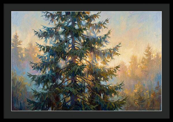 Spruce Tree At Dusk
