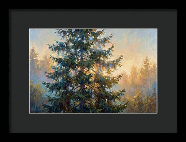 Spruce Tree At Dusk