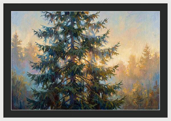 Spruce Tree At Dusk