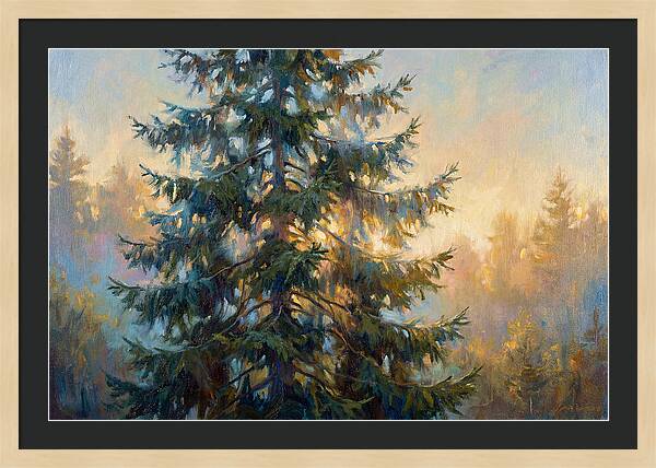Spruce Tree At Dusk