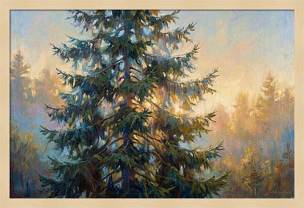 Spruce Tree At Dusk