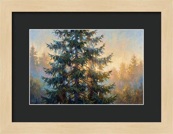 Spruce Tree At Dusk