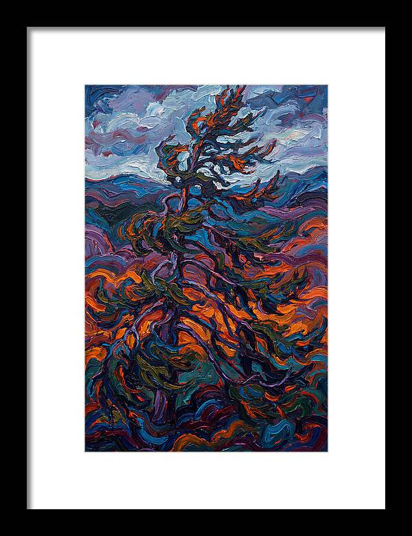 Spruce Tree In Motion