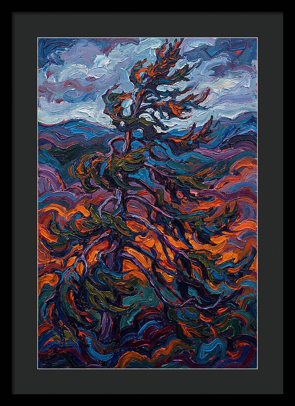 Spruce Tree In Motion