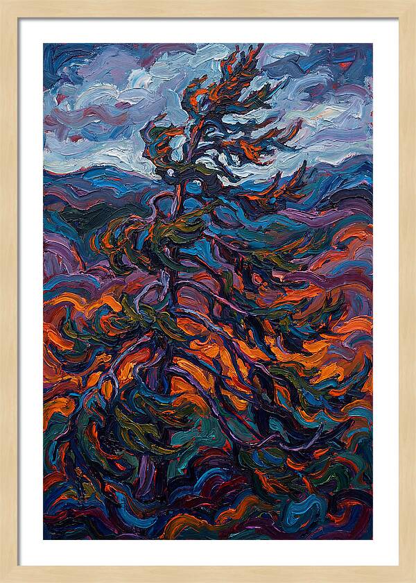 Spruce Tree In Motion