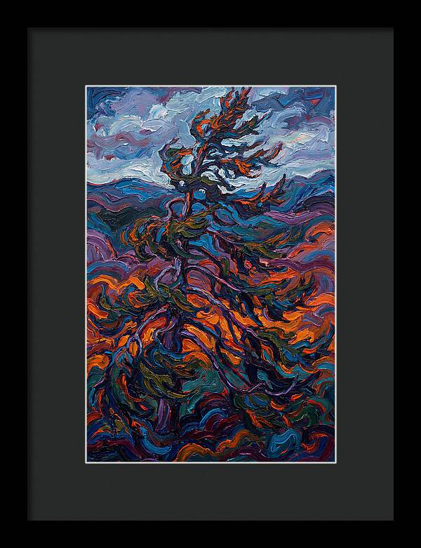 Spruce Tree In Motion