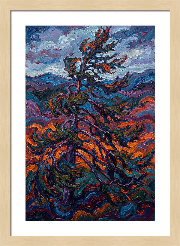 Spruce Tree In Motion