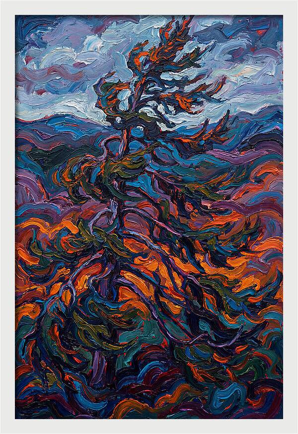 Spruce Tree In Motion