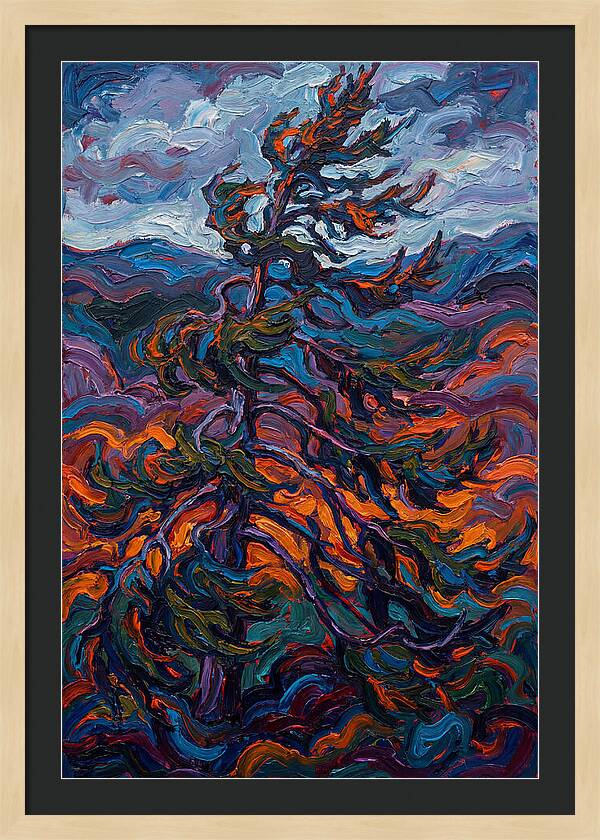 Spruce Tree In Motion
