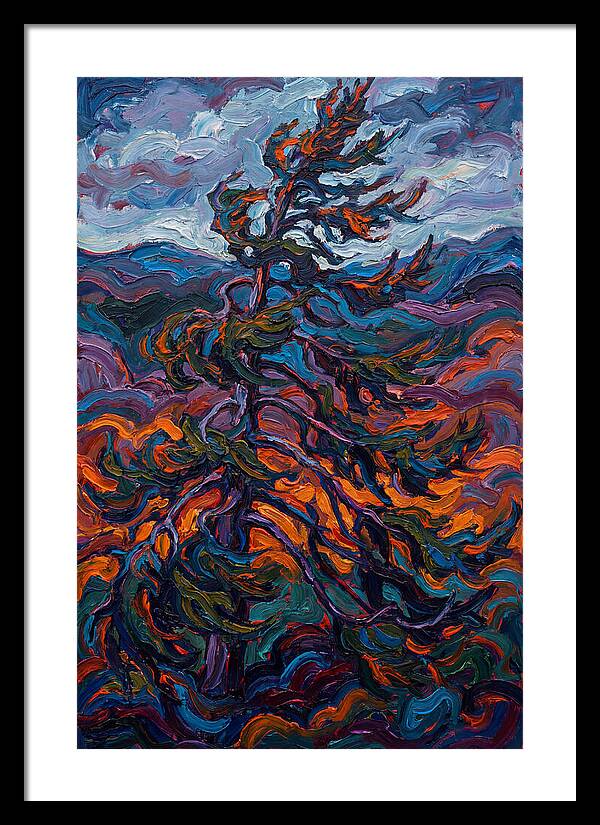 Spruce Tree In Motion