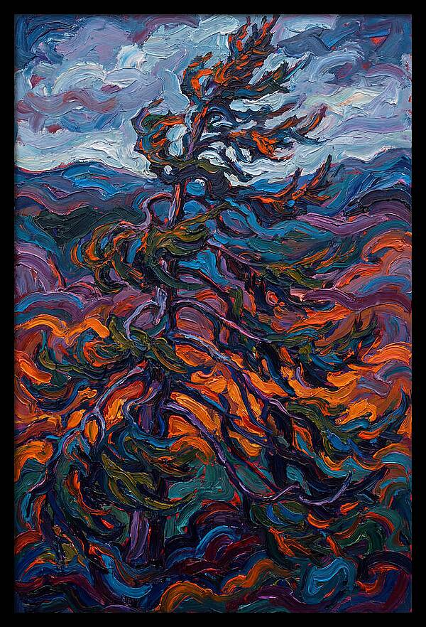 Spruce Tree In Motion
