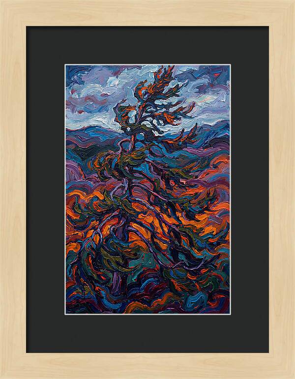 Spruce Tree In Motion