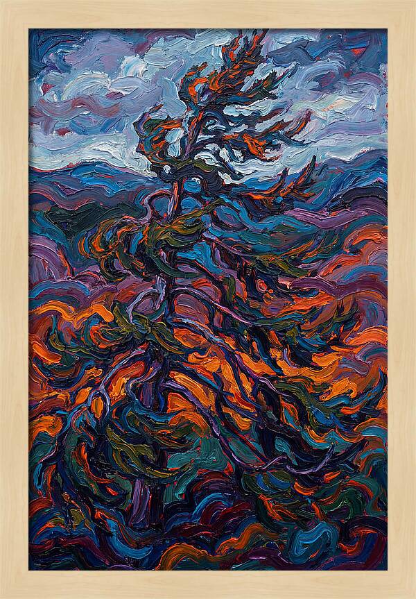 Spruce Tree In Motion