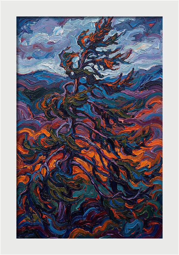 Spruce Tree In Motion