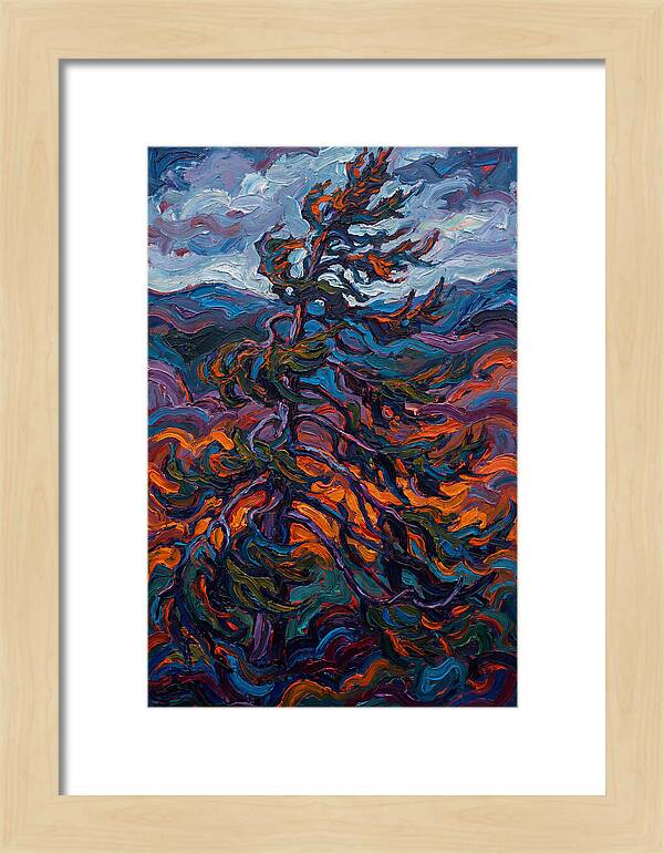 Spruce Tree In Motion