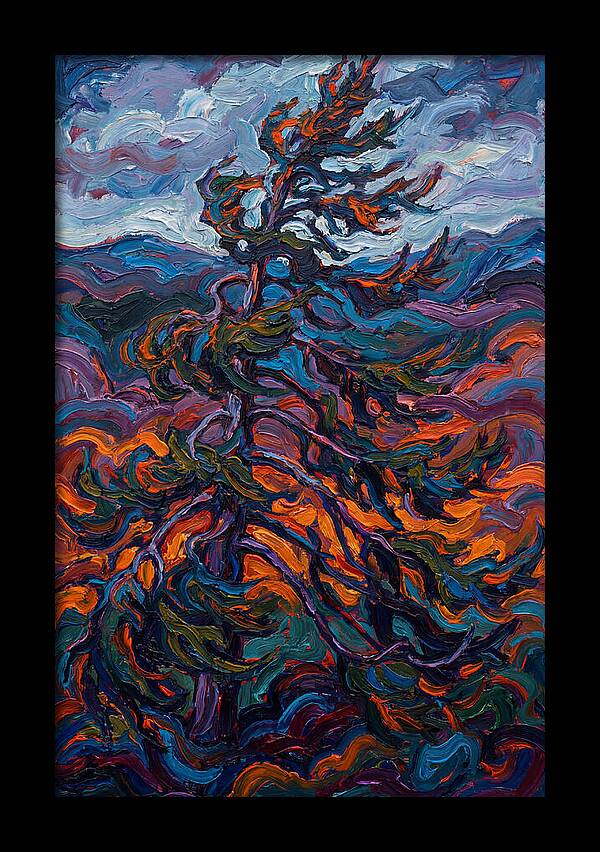 Spruce Tree In Motion