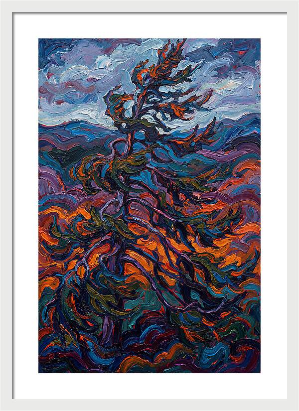 Spruce Tree In Motion