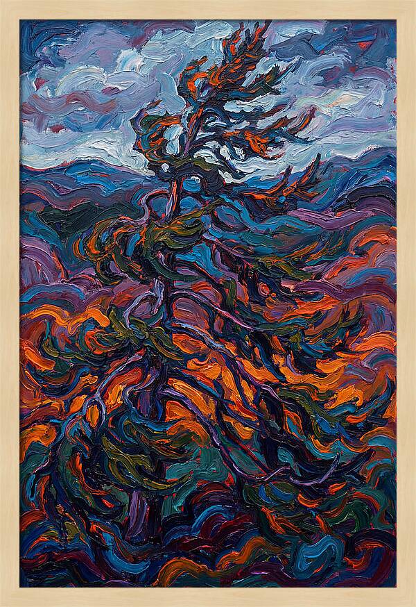 Spruce Tree In Motion