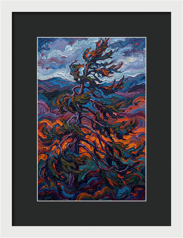 Spruce Tree In Motion