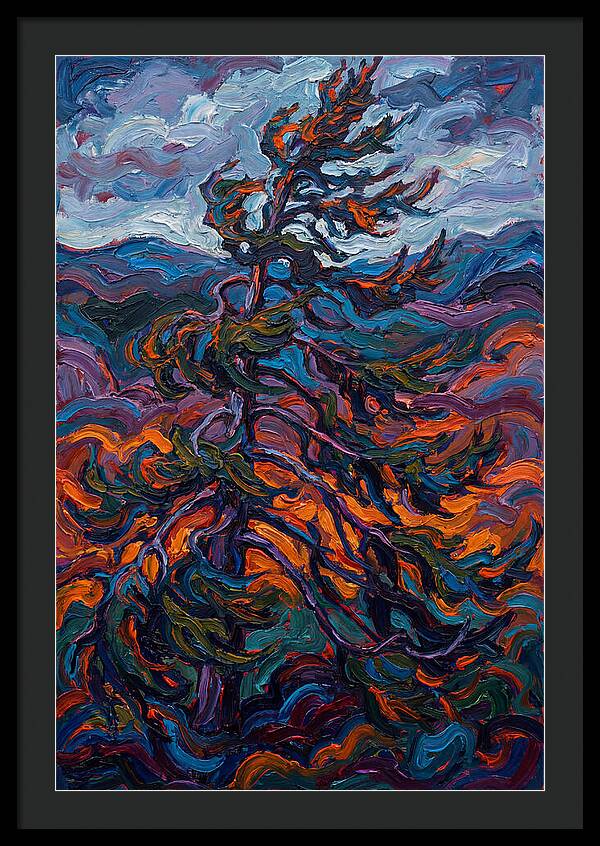 Spruce Tree In Motion