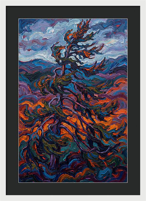 Spruce Tree In Motion