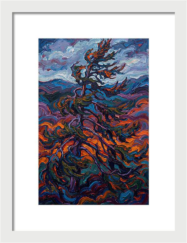 Spruce Tree In Motion