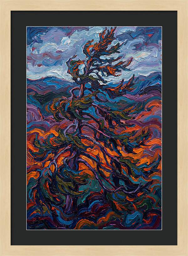 Spruce Tree In Motion