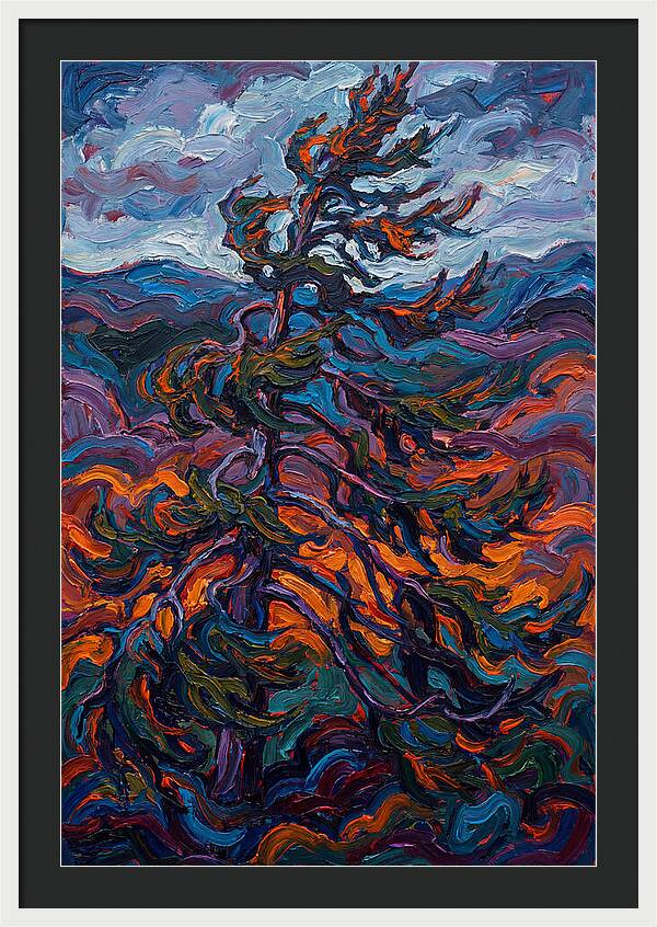 Spruce Tree In Motion