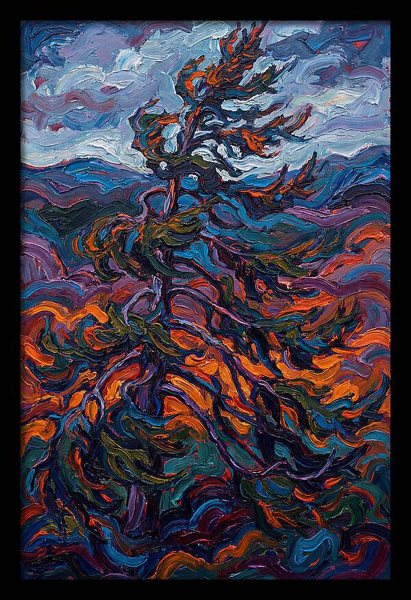 Spruce Tree In Motion