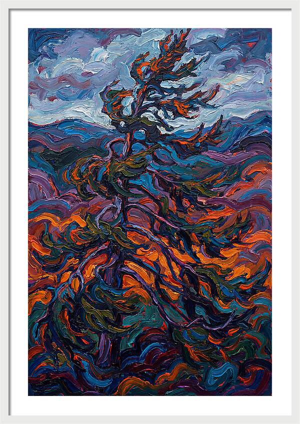 Spruce Tree In Motion