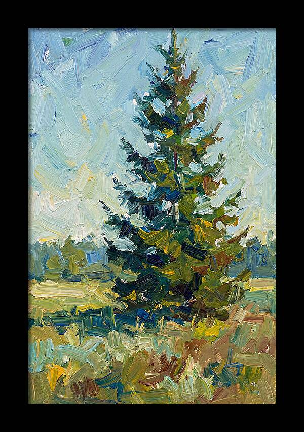 Spruce Tree In Nature
