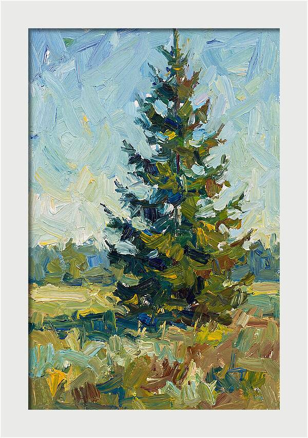 Spruce Tree In Nature