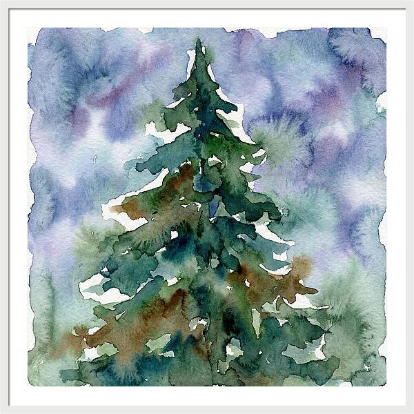 Spruce Tree Serenity