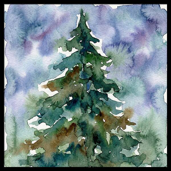 Spruce Tree Serenity