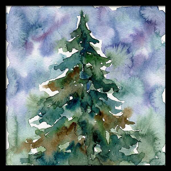 Spruce Tree Serenity