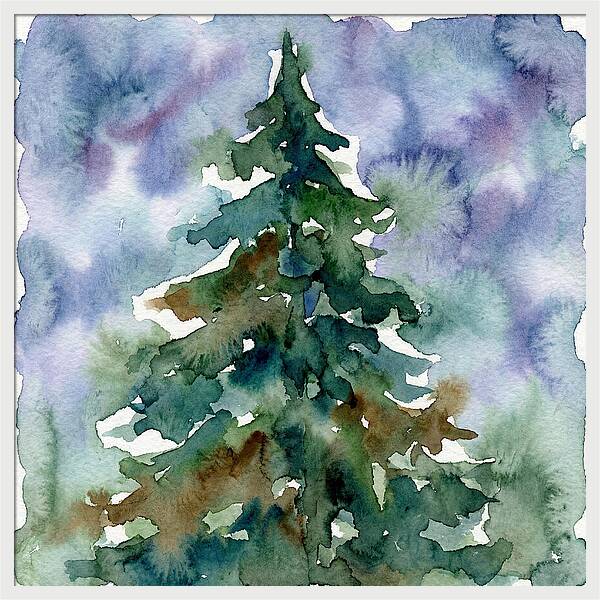 Spruce Tree Serenity