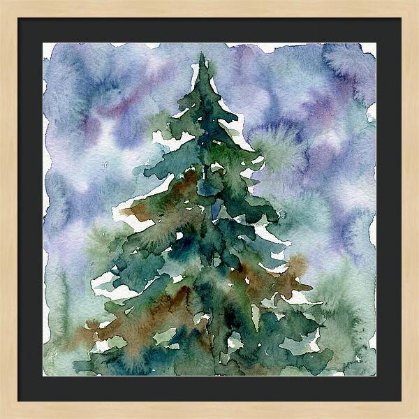 Spruce Tree Serenity