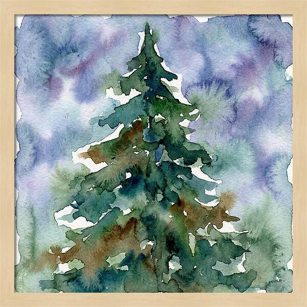 Spruce Tree Serenity