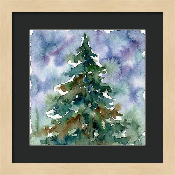 Spruce Tree Serenity