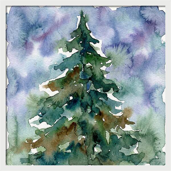 Spruce Tree Serenity