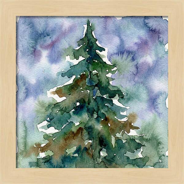 Spruce Tree Serenity