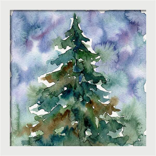 Spruce Tree Serenity